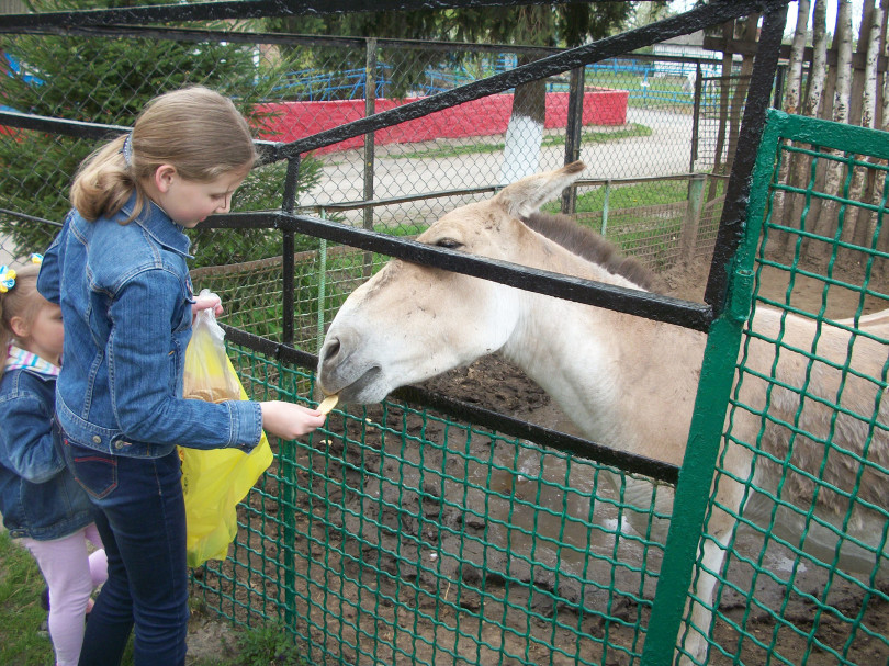 Звірі у Менському зоопарку вже не голодують але від допомоги не відмовляться