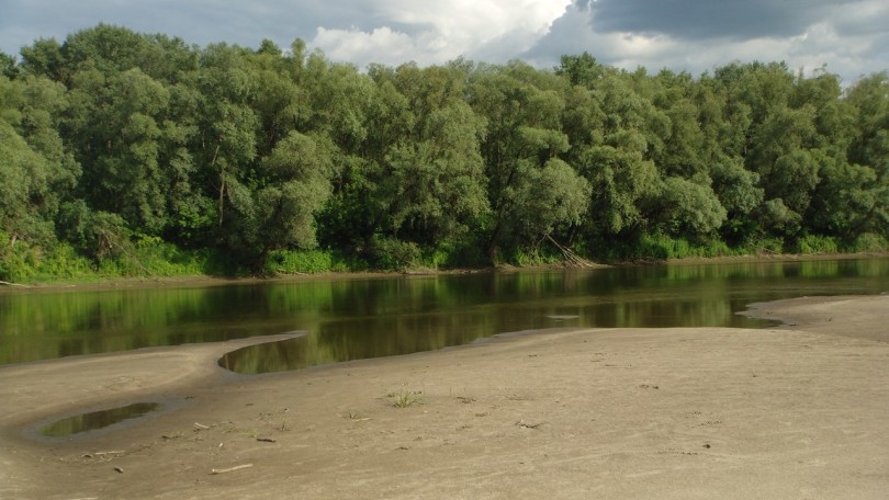 Трішки Десни