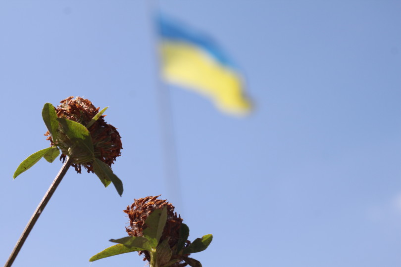 Мена. 29.07.2014 року