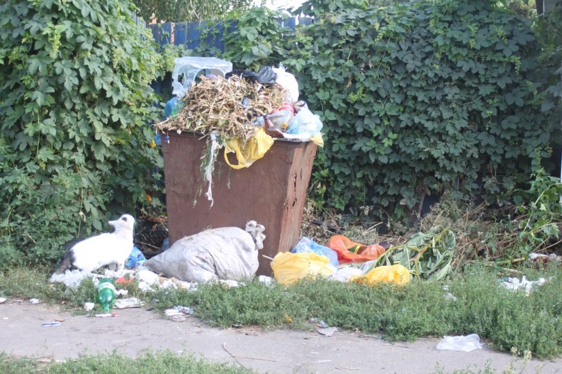 А ось сміття по вулиці Червоноармійській в Мені. Фото