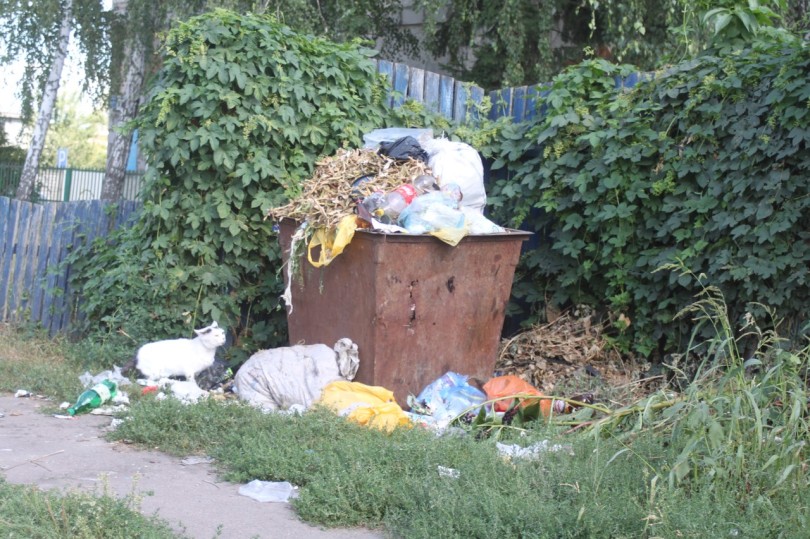 А ось сміття по вулиці Червоноармійській в Мені. Фото