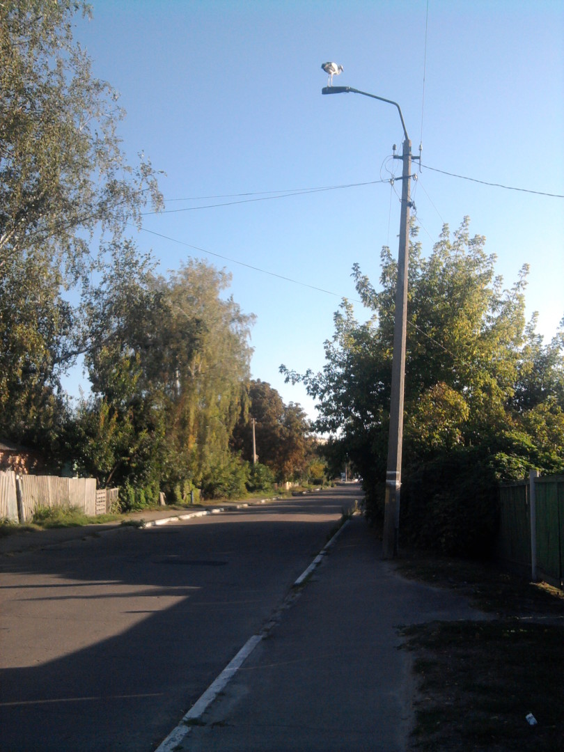 Доброго ранку, Менщина!