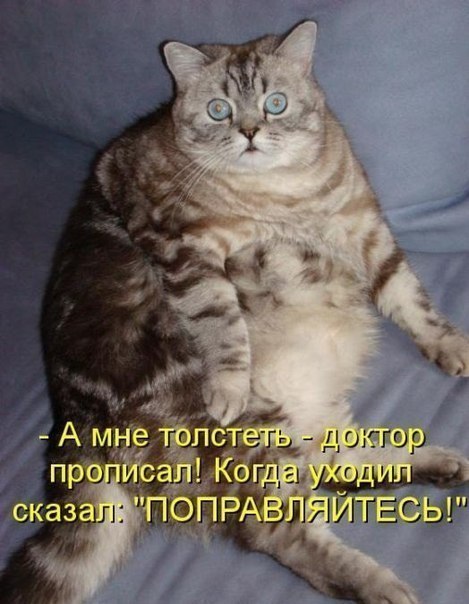 Гумор. Поправляйтесь! :)