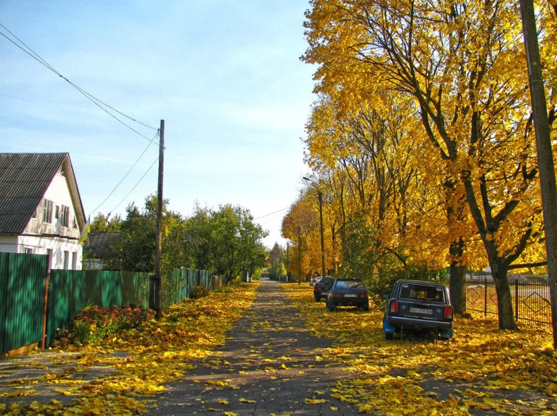 Доброго ранку, Менщина!