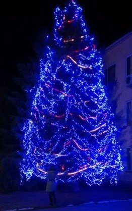 Новорічну ялинку в Мені прикрасили. Фото