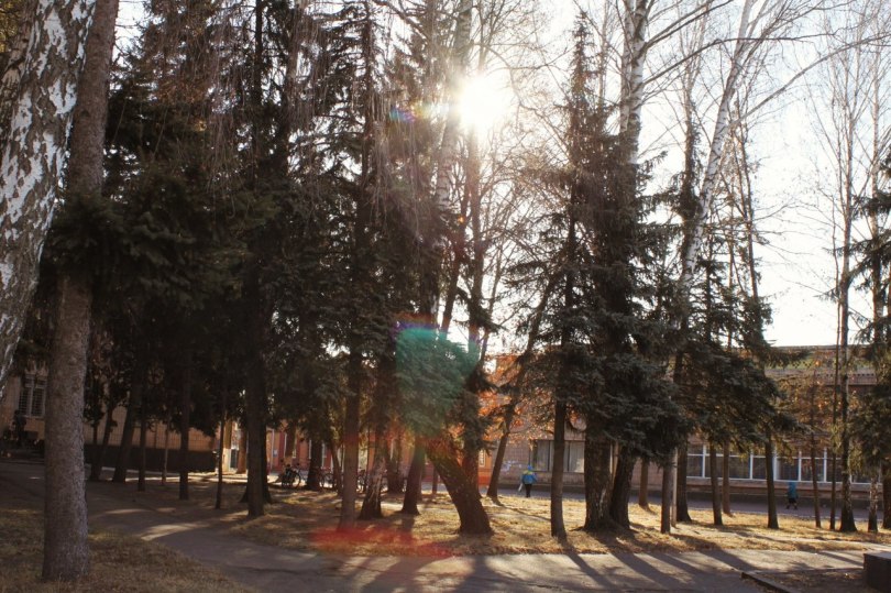 Виконком міськради затвердив проект розвитку Мени