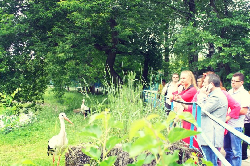 11 червня до Менського зоопарку навідався Геннадій Корбан. Фото