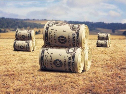 Для фермерів спростили реєстрацію права оренди на землю сільгосппризначення