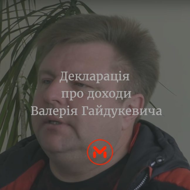 Декларація Валерія Гайдукевича
