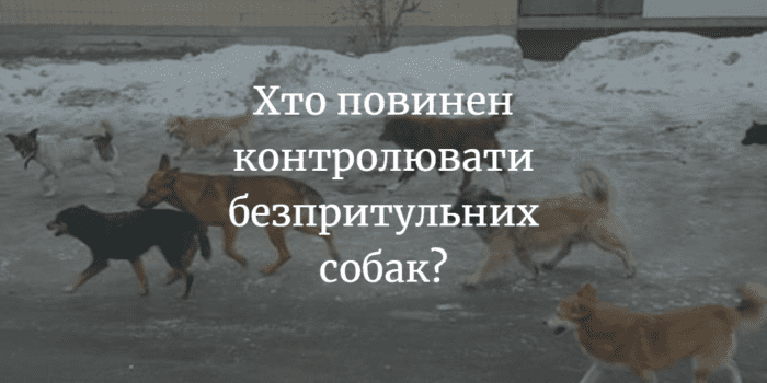 Олександр Щербатенко, практикуючий юрист: &ldquo;Проблема безпритульних собак входить до повноважень міської влади&rdquo;