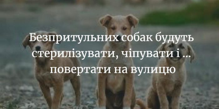 Геннадій Примаков: &ldquo;Найближчим часом буде відловлено перших 20 безпритульних собак&rdquo;