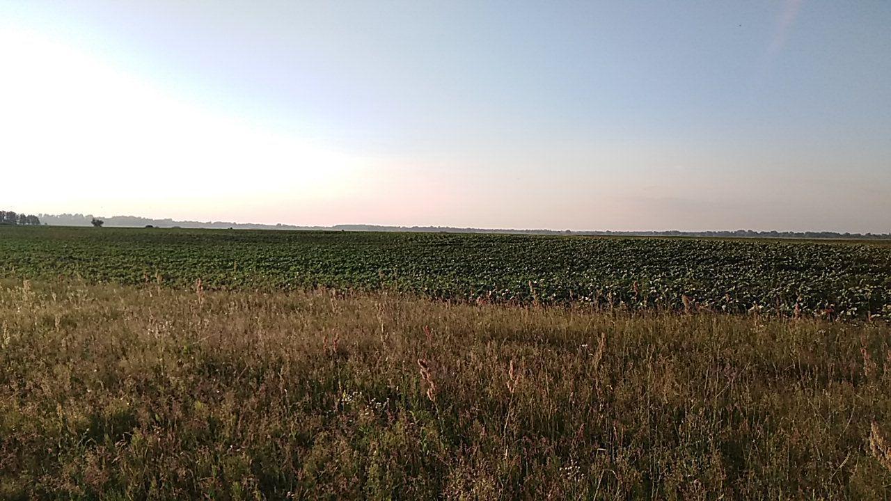 Причини пересихання малих річок. Думки експертів