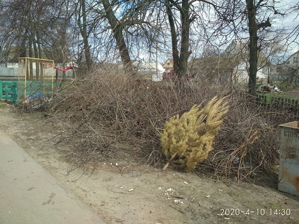 КОНКУРС. Придумайте оригінальний підпис до фото &ndash; отримайте поповнення телефонного рахунку