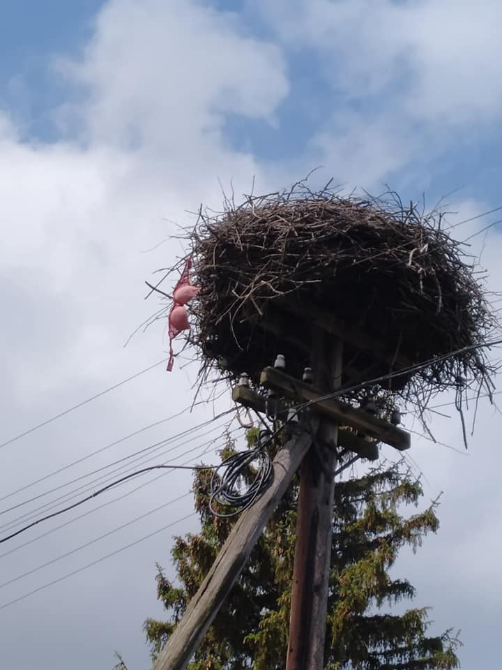 КОНКУРС. Придумайте оригінальний підпис до фото &ndash; отримайте поповнення телефонного рахунку