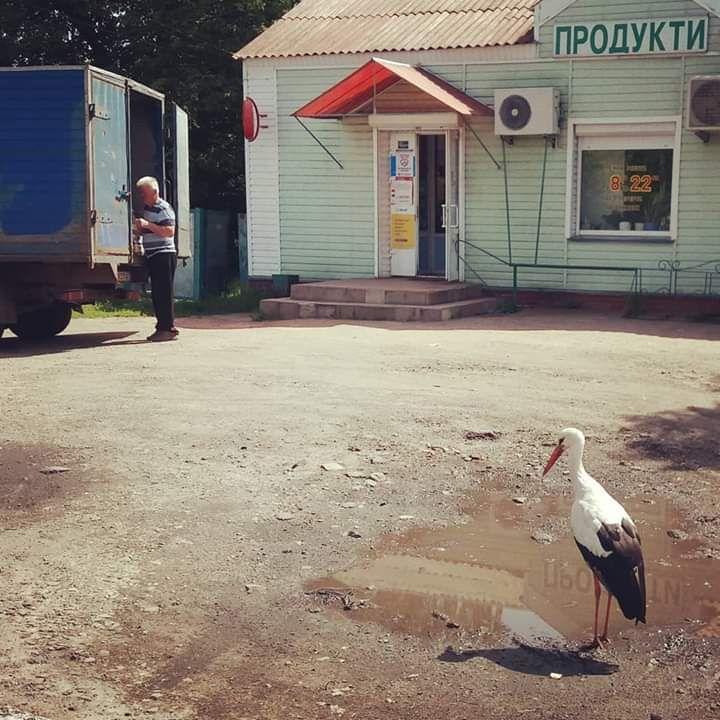 КОНКУРС. Придумайте оригінальний підпис до фото &ndash; отримайте поповнення телефонного рахунку