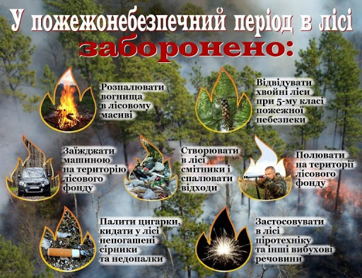 СОЦІАЛЬНА РЕКЛАМА. Як правильно відпочивати у лісі