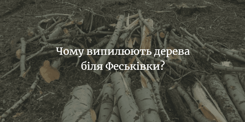 Дерева біля Феськівки випилюють, щоб уникнути аварійної ситуації