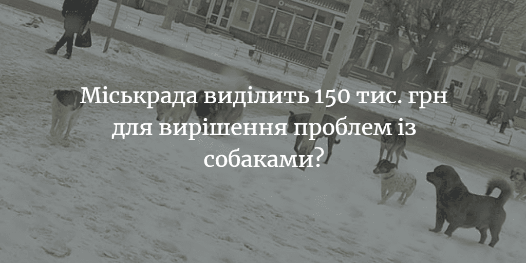 Міськрада збирається підписати договір з фірмою по стерилізації безпритульних тварин