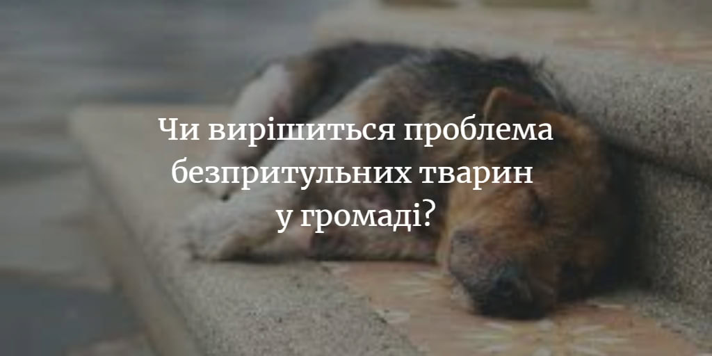 Володимир Онищук: “Представники Менської громади самі запропонували проблему безпритульних тварин”