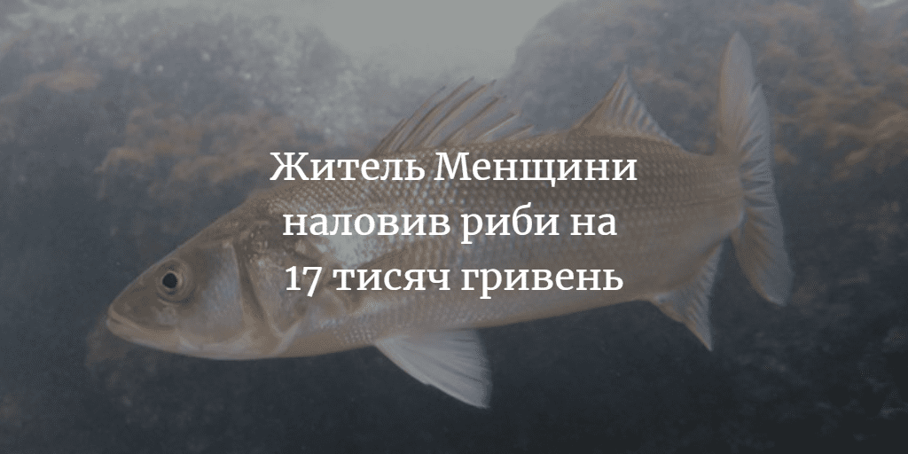 Жителя Менщини засудили за незаконний вилов риби