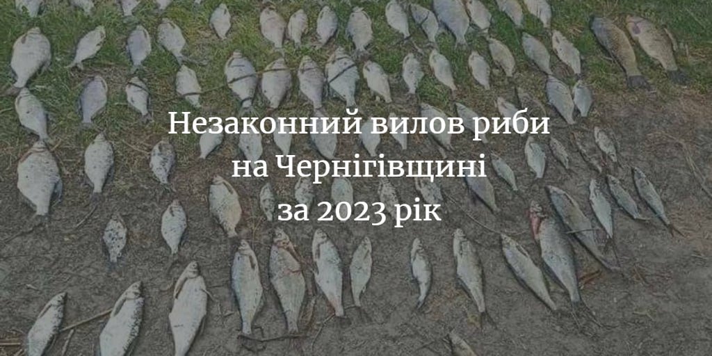 4 189 194 грн &ndash; сума збитків рибному господарству області за 2023 рік