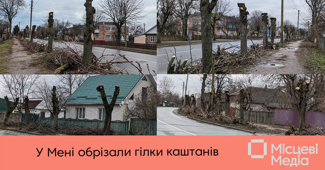 Комунальники почули електриків – гілки дерев вже не заважають?