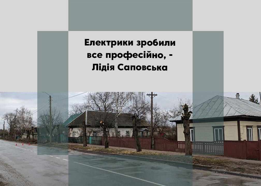 Пристрасті навколо дерев: хто обрізав та чи правильно це зробили?