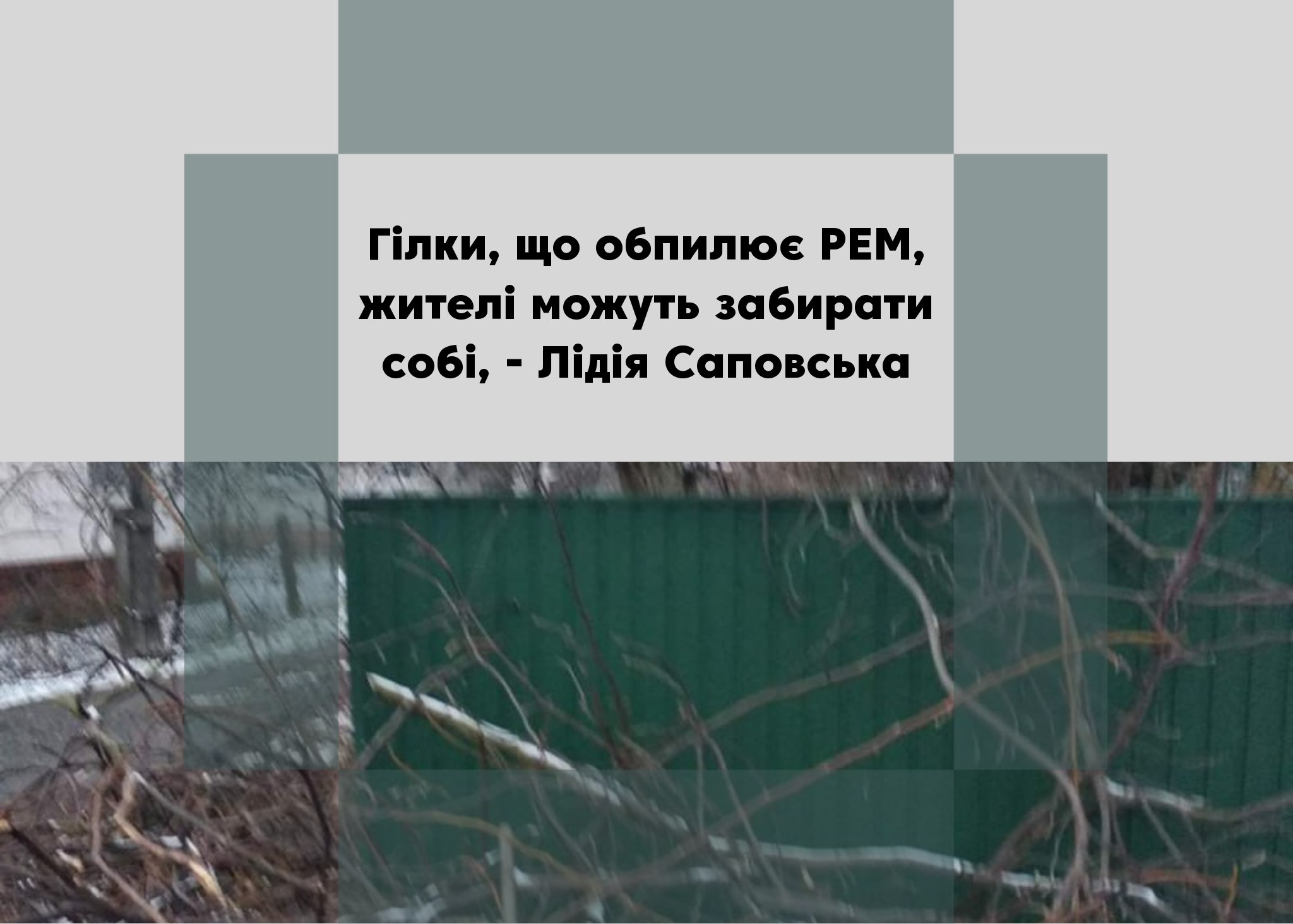 <strong>ПОВІДОМЛЕННЯ ЧИТАЧА.</strong> “Господарі повинні обпилювати дерева”