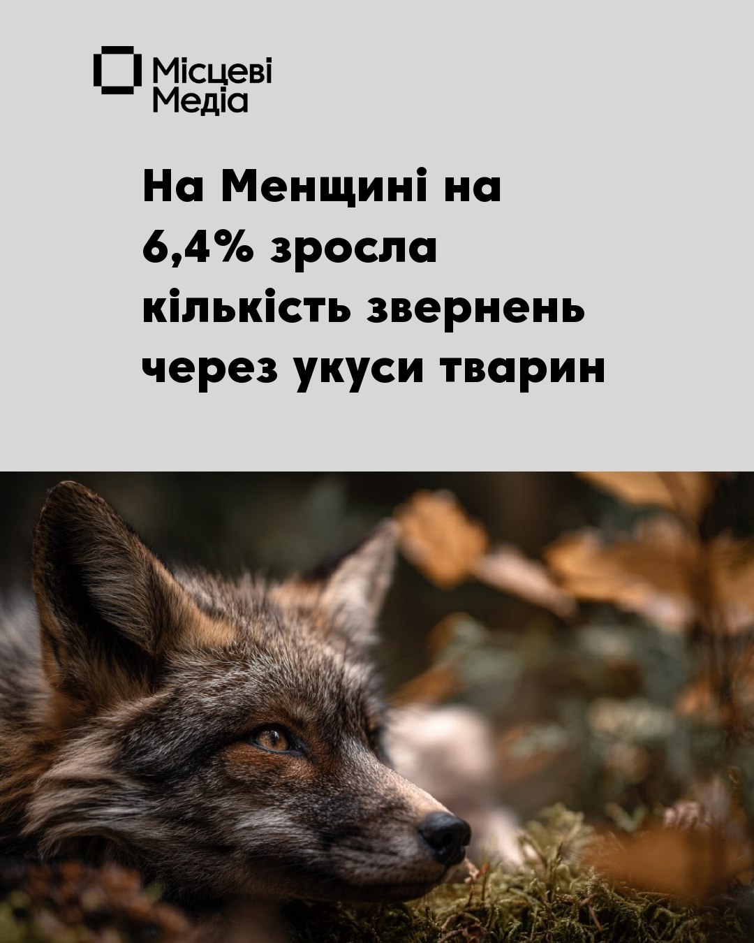 На Менщині зростає кількість нападів тварин: статистика та дії при укусі