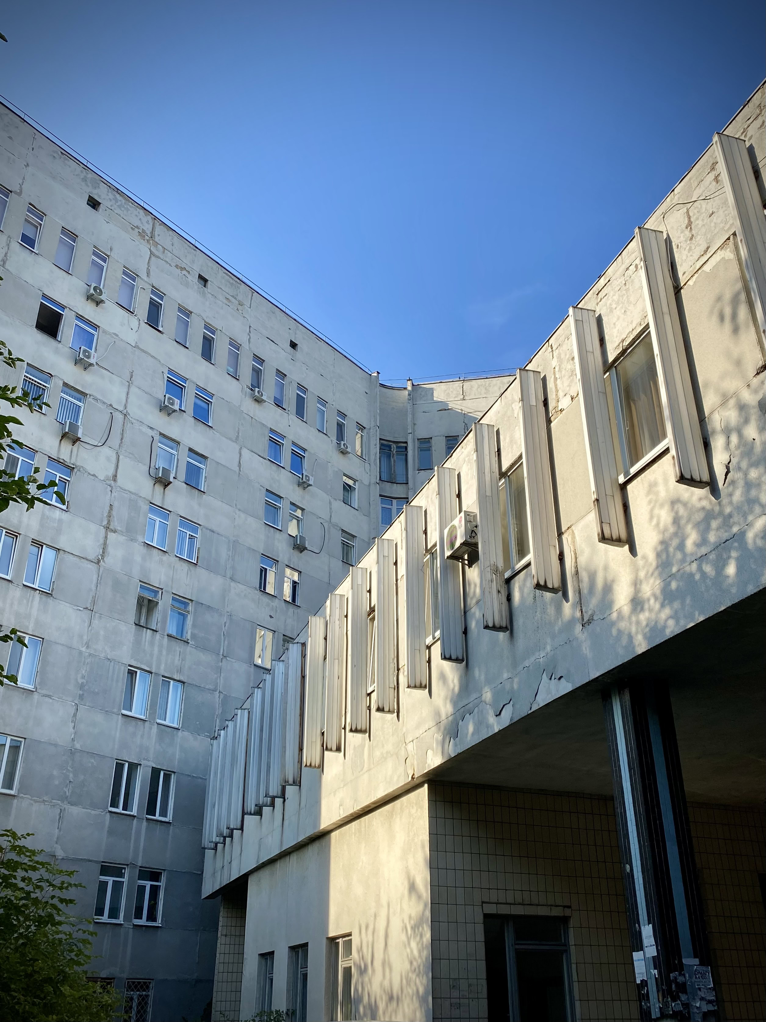 Дівчинка з Блистови, чиє ім’я носить інститут: історія академіка Олени Лук’янової