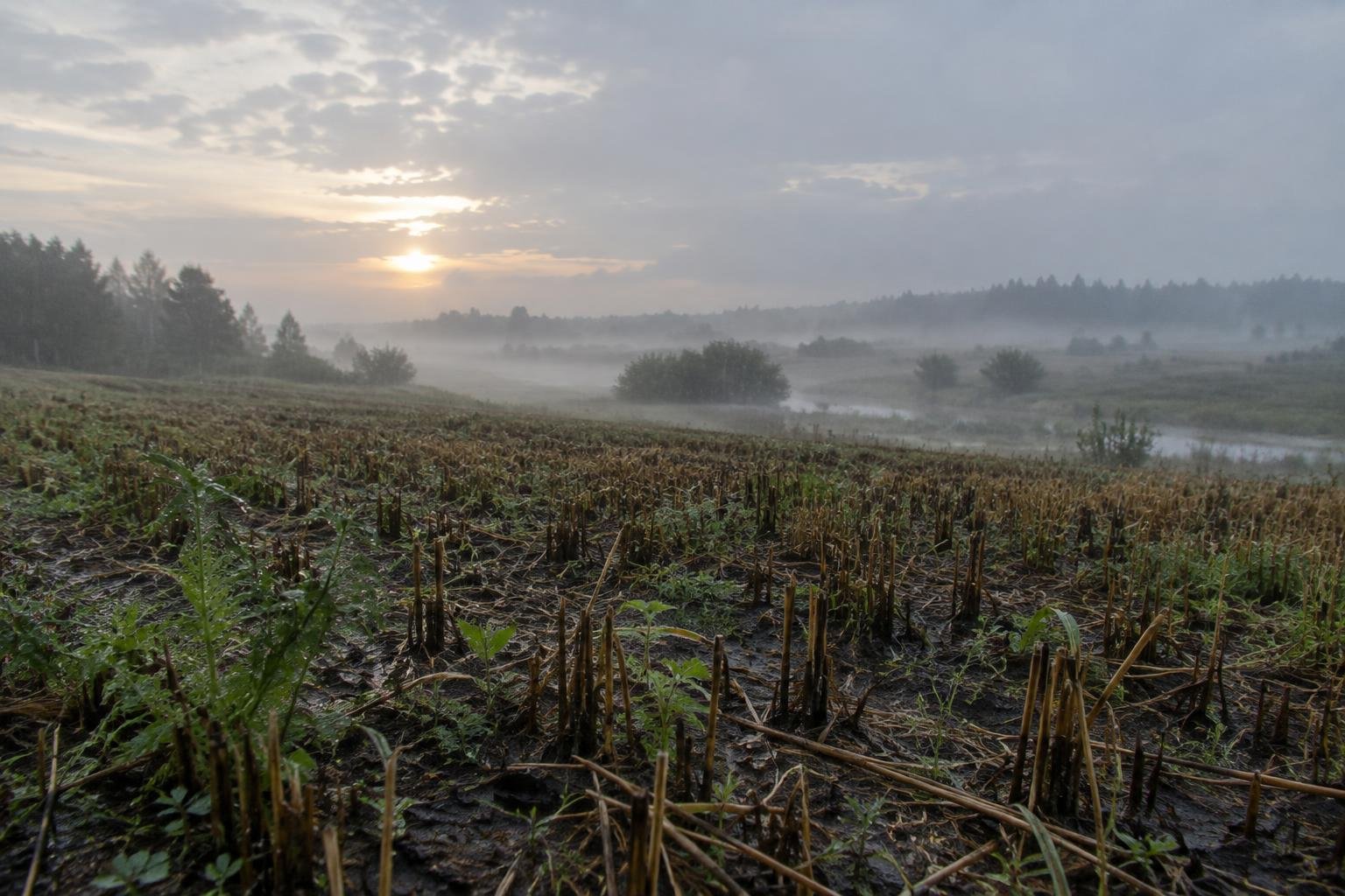 Погода в Мені на 21.09.2026